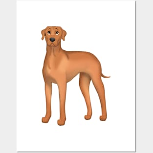 Rhodesian Ridgeback Dog Posters and Art